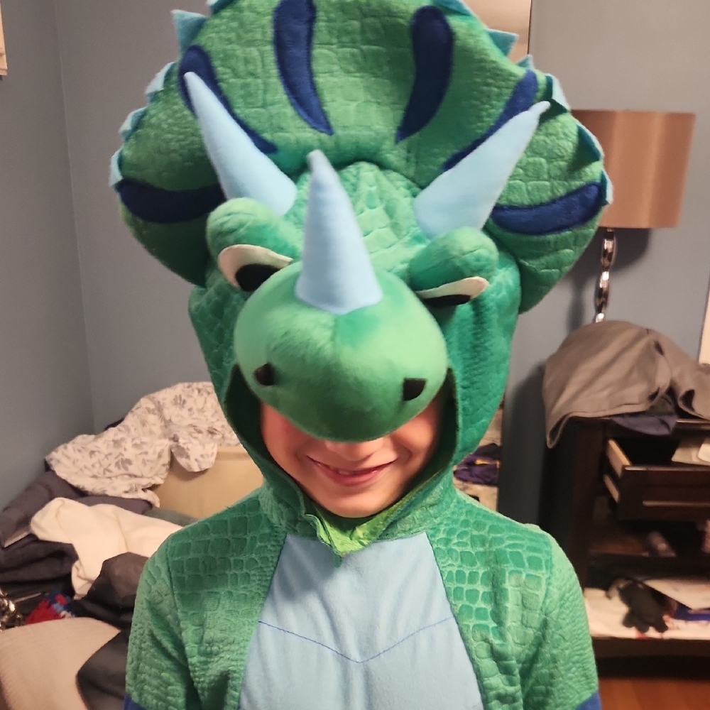 Kids Dinosaur Costume in Green and Blue SMALL